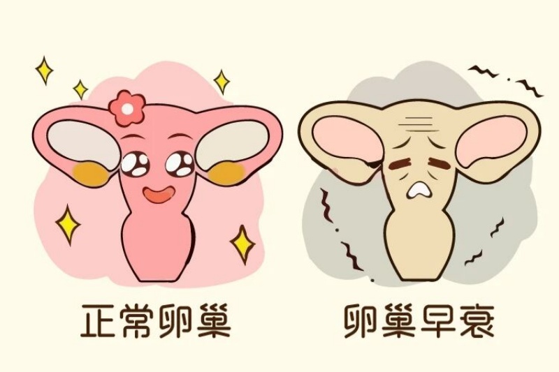 �ѳ������½����ѳ���˥���µĲ�������ô�죿