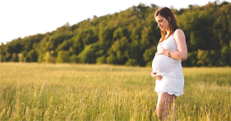 ������ʳ�����ʽ�ĵ���