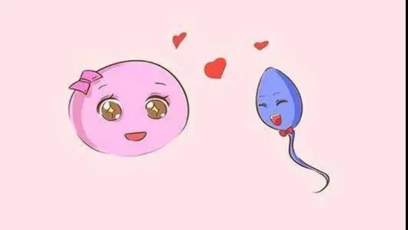 ��5���˱��и����׻��У�����������~