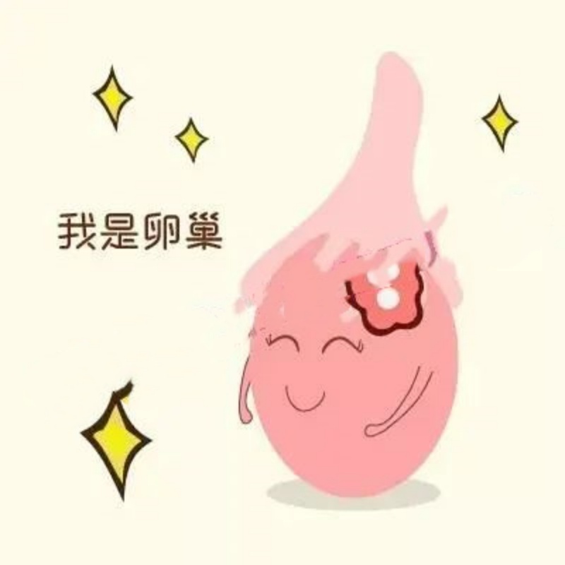 �Թ����д����ѣ������ɺ��ӵļ���Ҫ�㣡