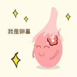 �Թ����д����ѣ������ɺ��ӵļ���Ҫ�㣡